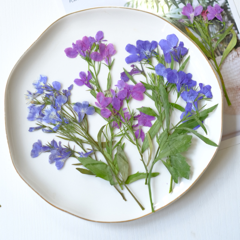 Resin Art And Jewelry - 6 pièces/8-13 cm, fleurs séchées pressées
