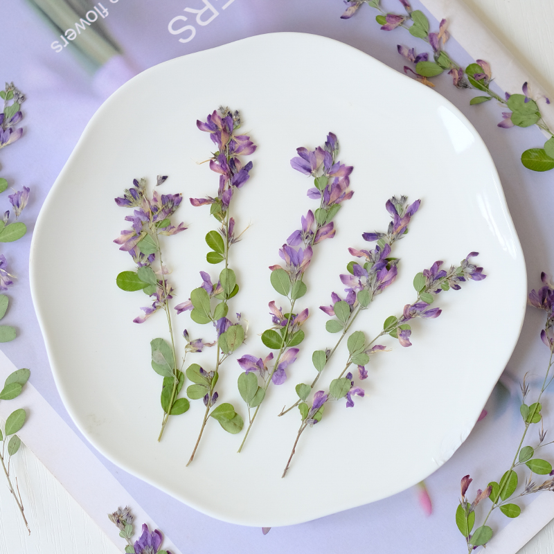 6 pièces, fleurs séchées press - Resin Art And Jewelry avis et prix