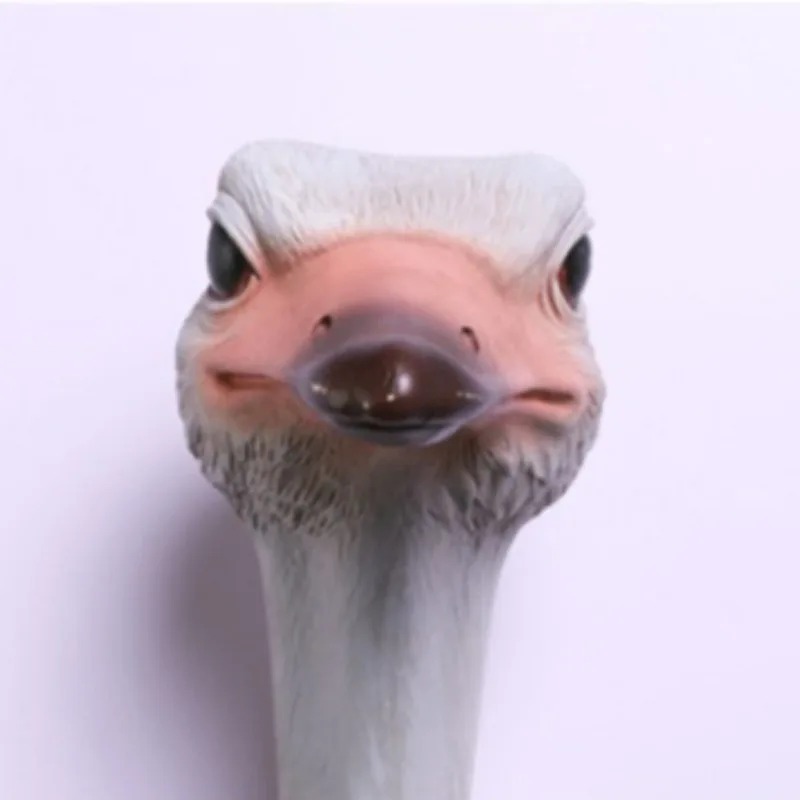 Ornements d'image de tête d'oi - Resin Art Images avis et prix