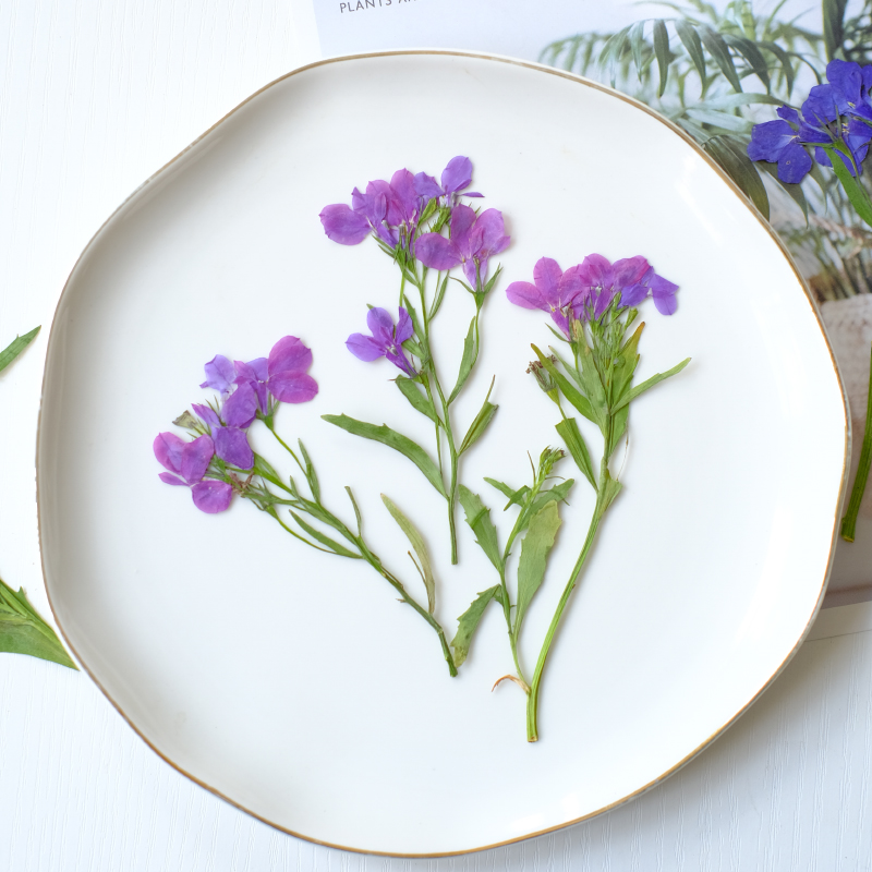 6 pièces/8-13 cm, fleurs séché - Resin Art And Jewelry avis et prix